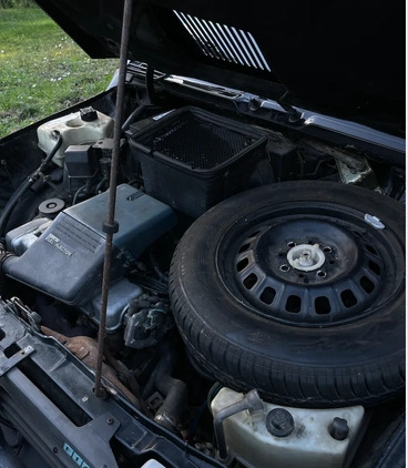 Fiat Panda cena 17500 przebieg: 176302, rok produkcji 1993 z Kraków małe 56